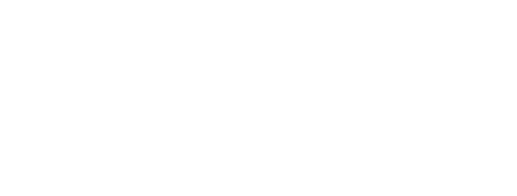 ZEDAL by SYNQONY